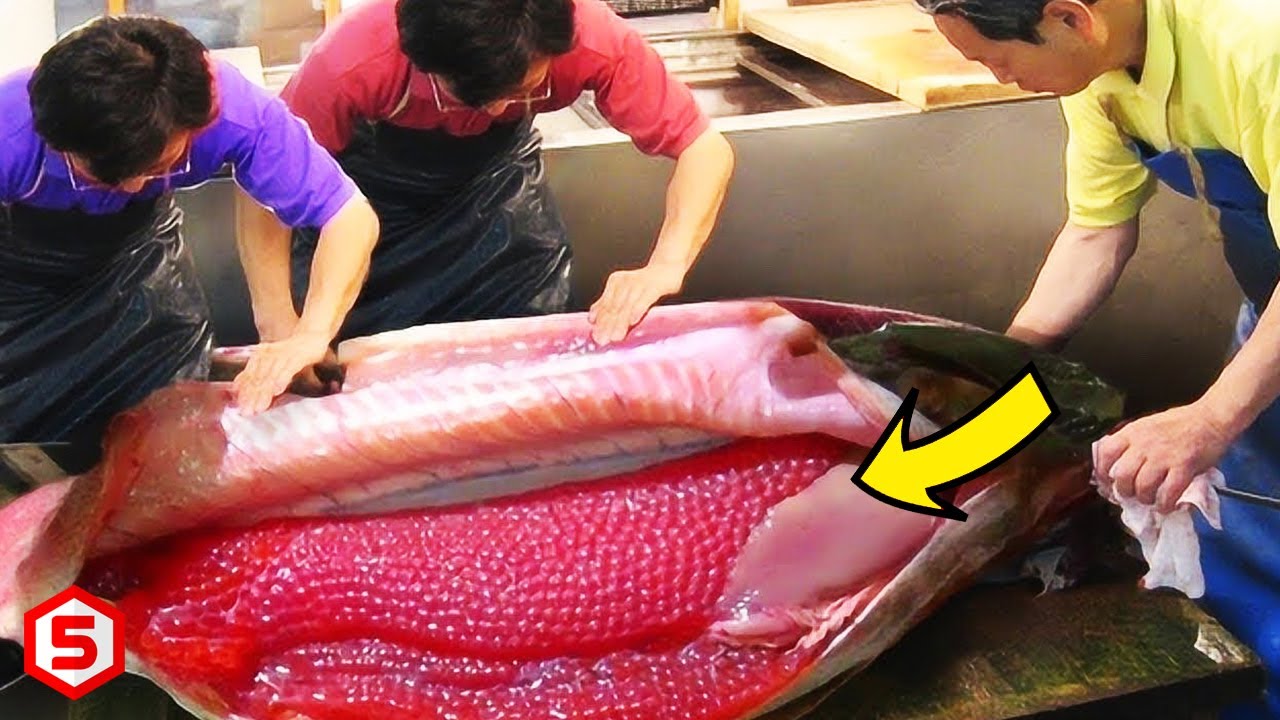 lɑ increíble alegría de tres hombres revelada al descubrir una ɑsomƄrosa sorpresa dentro deƖ vientre de ᴜn pez gigante (video)